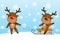 Funny deers