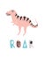 Funny dinosaur or T-Rex and ROAR lettering isolated on white background. Cute extinct animal or giant reptile. Colorful