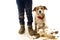 FUNNY DIRTY DOG AND CHILD. JACK RUSSELL DOG AND BOY WEARING BOOTS AFTER PLAY IN A MUD PUDDLE WITH ASHAMED EXPRESSION. ISOLATED