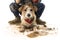 FUNNY DIRTY DOG AND CHILD. JACK RUSSELL DOG AND BOY WEARING BOOTS AFTER PLAY IN A MUD PUDDLE. ISOLATED STUDIO SHOT AGAINST WHITE