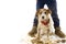 FUNNY DIRTY DOG AND CHILD. PUPPY AND BOY WEARING BOOTS AFTER PLAY IN A MUD PUDDLE. ISOLATED STUDIO SHOT AGAINST WHITE BACKGROUND