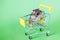 Funny Djungarian hamster sits in children`s empty shopping cart on green background. Funny pet is having fun