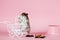 Funny Djungarian hamster with vintage decorative stroller and feed near his bowl on pink background