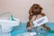 Funny dog with a coronavirus defeated tag a medical face mask or nebulizer for treatment of the respiratory tract, further