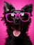 Funny dog domestic sunglasses background portrait animal puppy pets cute studio