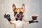 Funny dog ginger french bulldog waiter in a black bow tie hold a glass coffee mug and show a sign approx. Animal on gray