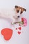 A funny dog gives a bouquet of roses as a sign of love for 14 February. Valentine's Day greeting card