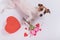 A funny dog gives a bouquet of roses as a sign of love for 14 February. Valentine's Day greeting card