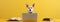 Funny dog in glasses. Concept banner on the theme of online education. Cute puppy on yellow background.