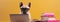Funny dog in glasses. Concept banner on the theme of online education. Cute puppy on yellow background.