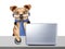 Funny Dog glasses tie working computer laptop desk isolated