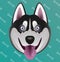 Funny dog. Huskies. Vector illustration. Isolated vector sign symbol