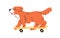 Funny dog riding skateboard. Cute little puppy on skate board. Amusing adorable doggy skater, happy active canine animal