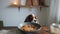 A funny dog sits at a table next to a bowl of chickpeas with ingredients for making homemade hummus. Close-up