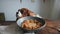 A funny dog sits at a table next to a bowl of chickpeas with ingredients for making homemade hummus. Close-up