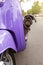 Funny dog sitting on a purple moped or scooter, outdoors, concept