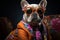 funny dog in sunglasses on dark background. Fashionable dog dressed in beautiful clothes