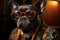 funny dog in sunglasses on dark background. Fashionable dog dressed in beautiful clothes