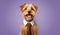 Funny dog in a tie on a colored background