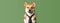 Funny dog in a tie on a colored background