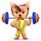 Funny dog training with barbell and hold reward