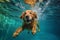 funny dog water fun vacation swimming underwater snorkeling puppy pool. Generative AI.