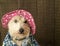 Funny dog wearing a flower hat and Hawaiian shirt