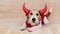 Funny dog wearing spooky halloween party red devil costume