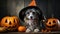 Funny dog with a witch hat surrounded by carved pumpkins for halloween. Generative AI