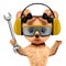 Funny dog with wrench, earphones and protective goggles
