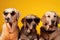 Funny dogs gang in sunglasses on studio background. Pets portrait. Generative ai