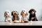 funny dogs sit at the table with a cake and candles