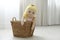 Funny doll in basket on floor. Decor for children`s room