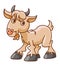 Funny Domestic Goat Color Illustration Design