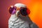 Funny dove wearing sunglasses in studio with a colorful and bright background. Generative AI