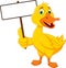Funny duck cartoon holding blank sign