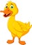 Funny duck cartoon posing