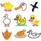 Funny duck icons