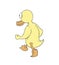 Funny duck walking draw