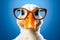 funny duck wearing glasses and looking at the camera on blue background