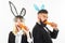 Funny easter. Bunny couple celebration on easter day. Funny serious easter bunny. Couple on easter nibbles a carrot like