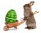 Funny Easter bunny rabbit with a wheelbarrow and g