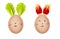 Funny Easter eggs decorated with fresh salad leaves and tulip petals. Bunny faces drawn on the eggs. Creative Easter decoration.