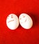 Funny easter emotion eggs on red, love happy eggs couple