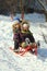 Funny emotional children riding down the slope on sledge on a sunny winter day