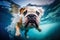 Funny English bulldog swimming under water created with Generative AI technology