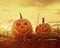 Funny face pumpkins sitting on fence