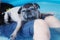 Funny-faced pug sleeps in the pool with his owner relaxing.