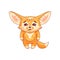 Funny fennec fox  looks with sadness