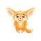 Funny fennec fox  looks with sadness